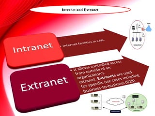 Intranet and Extranet
 