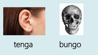 tenga bungo