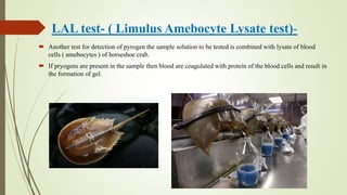 LAL test- ( Limulus Amebocyte Lysate test)-
 Another test for detection of pyrogen the sample solution to be tested is combined with lysate of blood
cells ( amebocytes ) of horseshoe crab.
 If pryogens are present in the sample then blood are coagulated with protein of the blood cells and result in
the formation of gel.
 