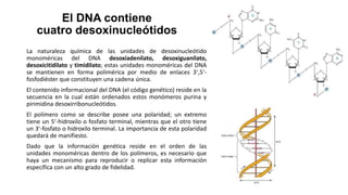 El DNA contiene
cuatro desoxinucleótidos
La naturaleza química de las unidades de desoxinucleótido
monoméricas del DNA desoxiadenilato, desoxiguanilato,
desoxicitidilato y timidilato; estas unidades monoméricas del DNA
se mantienen en forma polimérica por medio de enlaces 3ʹ,5ʹ-
fosfodiéster que constituyen una cadena única.
El contenido informacional del DNA (el código genético) reside en la
secuencia en la cual están ordenados estos monómeros purina y
pirimidina desoxirribonucleótidos.
El polímero como se describe posee una polaridad; un extremo
tiene un 5ʹ-hidroxilo o fosfato terminal, mientras que el otro tiene
un 3ʹ-fosfato o hidroxilo terminal. La importancia de esta polaridad
quedará de manifiesto.
Dado que la información genética reside en el orden de las
unidades monoméricas dentro de los polímeros, es necesario que
haya un mecanismo para reproducir o replicar esta información
específica con un alto grado de fidelidad.
 