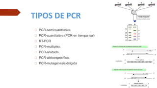 PCR-semicuantitativa
PCR-cuantitativa (PCR-en tiempo real)
RT-PCR
PCR-multiplex.
PCR-anidada.
PCR-aleloespecífica.
PCR-mutagénesis dirigida
 
