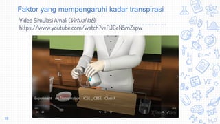 Faktor yang mempengaruhi kadar transpirasi
Video Simulasi Amali (Virtual lab):
https://www.youtube.com/watch?v=PJGeN5mZspw
16
 