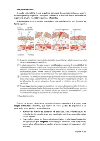 Página 4 de 16
Reação inflamatória
A reação inflamatória é uma sequência complexa de acontecimentos que ocorre
quando agentes patogénicos conseguem ultrapassar as barreiras físicas de defesa do
organismo. Envolve mediadores químicos e fagócitos.
A sequência de acontecimentos envolvida na reação inflamatória está ilustrada na
figura seguinte.
Quando os agentes patogénicos são particularmente agressivos, é acionada uma
reação inflamatória sistémica, que ocorre em várias partes do organismo e se
caracteriza pelos seguintes acontecimentos:
• Aumento do número de leucócitos em circulação. Este aumento resulta da
estimulação da medula óssea por substâncias químicas produzidas pelas
células lesadas.
• Febre. A febre pode ser desencadeada por toxinas produzidas pelos agentes
patogénicos ou por pirógenos produzidos por leucócitos. Estas substâncias
atuam sobre o hipotálamo e regulam a-temperatura do corpo para um valor
mais alto.
 