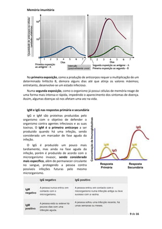 Página 9 de 16
Memória imunitária
Na primeira exposição, como a produção de anticorpos requer a multiplicação de um
determinado linfócito B, demora alguns dias até que atinja os valores máximos;
entretanto, desenvolve-se um estado infecioso.
Numa segunda exposição, como o organismo já possui células de memória reage de
uma forma mais intensa e rápida, impedindo o aparecimento dos sintomas de doença.
Assim, algumas doenças só nos afetam uma vez na vida.
IgM e IgG nas respostas primária e secundária
IgG e IgM são proteínas produzidas pelo
organismo com o objetivo de defender o
organismo contra agentes infeciosos e as suas
toxinas. O IgM é o primeiro anticorpo a ser
produzido quando há uma infeção, sendo
considerado um marcador de fase aguda da
infeção.
O IgG é produzido um pouco mais
tardiamente, mas ainda na fase aguda da
infeção, porém é produzido de acordo com o
microrganismo invasor, sendo considerado
mais específico, além de permanecer circulante
no sangue, protegendo a pessoa contra
possíveis infeções futuras pelo mesmo
microrganismo.
Resposta
Primária
Resposta
Secundária
Concentração
de
Imunoglobulinas
 