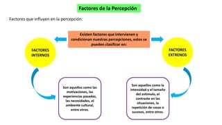 Factores de la Percepción
Factores que influyen en la percepción:
FACTORES
EXTRENOS
FACTORES
INTERNOS
Son aquellos como las
motivaciones, las
experiencias pasadas,
las necesidades, el
ambiente cultural,
entre otros.
Son aquellos como la
intensidad y el tamaño
del estimulo, el
contraste en las
situaciones, la
repetición de cosas o
sucesos, entre otros.
Existen factores que intervienen y
condicionan nuestras percepciones, estos se
pueden clasificar en:
 