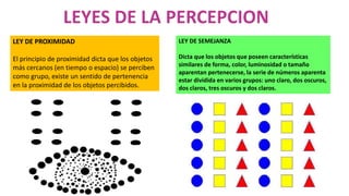 LEY DE PROXIMIDAD
El principio de proximidad dicta que los objetos
más cercanos (en tiempo o espacio) se perciben
como grupo, existe un sentido de pertenencia
en la proximidad de los objetos percibidos.
LEY DE SEMEJANZA
Dicta que los objetos que poseen características
similares de forma, color, luminosidad o tamaño
aparentan pertenecerse, la serie de números aparenta
estar dividida en varios grupos: uno claro, dos oscuros,
dos claros, tres oscuros y dos claros.
 