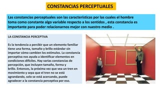 CONSTANCIAS PERCEPTUALES
LA CONSTANCIA PERCEPTIVA
Es la tendencia a percibir que un elemento familiar
tiene una forma, tamaño y brillo estándar sin
importar cómo cambien los estímulos. La constancia
perceptiva nos ayuda a identificar elementos en
condiciones difíciles. Hay varias constancias de
percepción, que incluyen tamaño, forma y
brillo. Entonces, la próxima vez que vea un tren en
movimiento y sepa que el tren no se está
agrandando, solo se está acercando, puede
agradecer a la constancia perceptiva por eso.
Las constancias perceptuales son las características por las cuales el hombre
toma como constante algo variable respecto a los sentidos , esta constancia es
importante para poder relacionarnos mejor con nuestro medio .
 