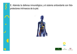 E. Además la defensa inmunológica y el sistema antioxidante son foto-
protectores intrínsecos de la piel.
 