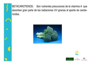 BETACAROTENOS: Son nutrientes precursores de la vitamina A que
absorben gran parte de las radiaciones UV gracias al aporte de carote-
noides.
 