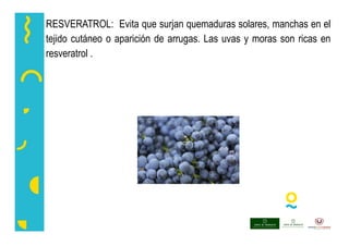 RESVERATROL: Evita que surjan quemaduras solares, manchas en el
tejido cutáneo o aparición de arrugas. Las uvas y moras son ricas en
resveratrol .
 