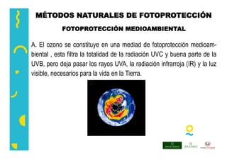 A. El ozono se constituye en una mediad de fotoprotección medioam-
biental , esta filtra la totalidad de la radiación UVC y buena parte de la
UVB, pero deja pasar los rayos UVA, la radiación infrarroja (IR) y la luz
visible, necesarios para la vida en la Tierra.
MÉTODOS NATURALES DE FOTOPROTECCIÓN
FOTOPROTECCIÓN MEDIOAMBIENTAL
 