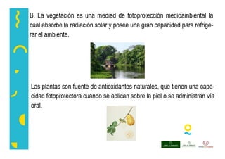 B. La vegetación es una mediad de fotoprotección medioambiental la
cual absorbe la radiación solar y posee una gran capacidad para refrige-
rar el ambiente.
Las plantas son fuente de antioxidantes naturales, que tienen una capa-
cidad fotoprotectora cuando se aplican sobre la piel o se administran vía
oral.
 