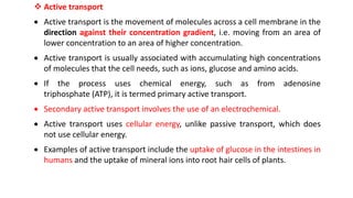 Membrane Transport System