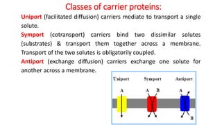Membrane Transport System