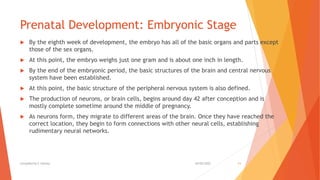 4. Fetal development.pdf
