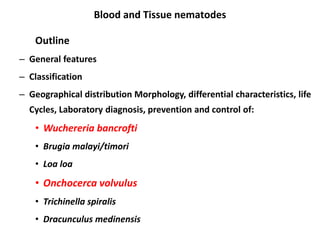 Blood and Tissue nematodes
Outline
– General features
– Classification
– Geographical distribution Morphology, differential characteristics, life
Cycles, Laboratory diagnosis, prevention and control of:
• Wuchereria bancrofti
• Brugia malayi/timori
• Loa loa
• Onchocerca volvulus
• Trichinella spiralis
• Dracunculus medinensis
 