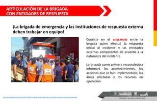 ARTICULACIÓN DE LA BRIGADA
CON ENTIDADES DE RESPUESTA
¡La brigada de emergencia y las instituciones de respuesta externa
deben trabajar en equipo!
Consiste en el engranaje entre la
brigada quien efectuó la respuesta
inicial al incidente y las entidades
externas competentes de acuerdo a la
naturaleza del incidente.
La brigada como primera respondedora
informará los acontecimientos, las
acciones que se han implementado, las
áreas afectadas y los recursos en
operación.
http://www.bomberos.gob.pa/2017/04/fuerza-tarea-del-bcbrp-finaliza-curso-basico-sistema-comando-incidentes/
 