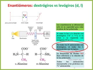 Enantiómeros: dextrógiros vs levógiros (d, l)
4. Aminoácidos 13
 