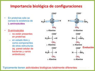Importancia biológica de configuraciones
• En proteínas sólo se
conoce la existencia de
L-aminoácidos
• D-aminoácidos
– no están presentes
en proteínas
– en estado libre y
como componentes
de otras estructuras
(ej. pared celular de
bacterias y varios
antibióticos)
4. Aminoácidos 14
Típicamente tienen actividades biológicas totalmente diferentes
Evolución
 