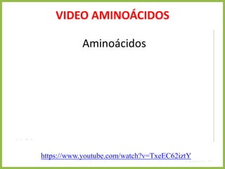 VIDEO AMINOÁCIDOS
4. Aminoácidos 19
https://www.youtube.com/watch?v=TxeEC62iztY
 