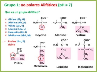 Grupo 1: no polares Alifáticos (pH = 7)
• Prolina (Pro, P)
cíclico
4. Aminoácidos 32
 Glicina (Gly, G)
 Alanina (Ala, A)
 Valina (Val, V)
 Leucina (Leu, L)
 Isoleucina (Ile, I)
 Metionina (Met, M)
Que es un grupo alifático?
 