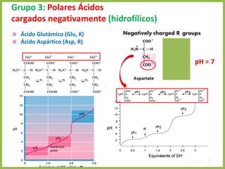 Grupo 3: Polares Ácidos
cargados negativamente (hidrofílicos)
4. Aminoácidos 48
 Ácido Glutámico (Glu, K)
 Ácido Aspártico (Asp, R)
pH = 7
 