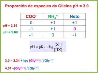4. Aminoácidos 76
pH = 2.34
pH = 9.60
COO- NH3
+ Neto
0 +1 +1
-1 +1 0
-1 0 -1
Proporción de especies de Glicina pH = 3.0
3.0 = 2.34 + log Gly(+/-) / Gly(+)
4.57 =Gly(+/-) / Gly(+)
 