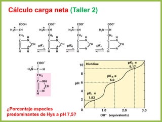 ¿Porcentaje especies
predominantes de Hys a pH 7,5?
Cálculo carga neta (Taller 2)
 