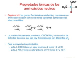 Propiedades iónicas de los
aminoácidos neutros
• Según el pH, los grupos funcionales α-carboxilo y α-amino de un
aminoácido existen como una de las siguientes combinaciones
interconvertibles:
–COOH –COO– –COO–
–NH3
+ –NH3
+ –NH2
• La sustancia totalmente protonada -COOH/-NH3
+ es un ácido de
Brönsted diprótico, por eso hay 2 ionizaciones con diferentes pKa
• Para la mayoría de aminoácidos
– pKa1 (–COOH) tiene un valor próximo a 2 (entre 1,8 y 2,5)
– pKa2 (–NH3
+) tiene un valor próximo a 9-10 (entre 8,7 y 10,7)
4. Aminoácidos 102


 