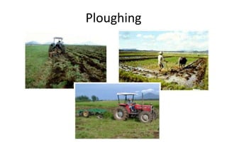 Ploughing
 
