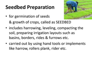Seedbed Preparation
• for germination of seeds
& growth of crops, called as SEEDBED
• includes harrowing, leveling, compacting the
soil, preparing irrigation layouts such as
basins, borders, rides & furrows etc.
• carried out by using hand tools or implements
like harrow, rollers plank, rider etc.
 