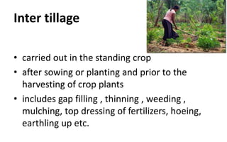 Inter tillage
• carried out in the standing crop
• after sowing or planting and prior to the
harvesting of crop plants
• includes gap filling , thinning , weeding ,
mulching, top dressing of fertilizers, hoeing,
earthling up etc.
 