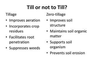Till or not to Till?
Tillage
• Improves aeration
• Incorporates crop
residues
• Facilitates root
penetration
• Suppresses weeds
Zero-tillage
• Improves soil
structure
• Maintains soil organic
matter
• Supports soil
organism
• Prevents soil erosion
 