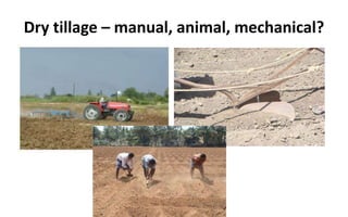 Dry tillage – manual, animal, mechanical?
 