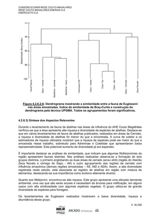 CONSÓRCIO ENER-REDE COUTO MAGALHÃES
REDE COUTO MAGALHÃES ENERGIA S.A.
ENERCOUTO S.A.
V. III-336
Figura 4.2.6.2-6: Dendrograma mostrando a similaridade entre a fauna de Euglossini
nas áreas amostradas. Índice de similaridade de Bray-Curtis e construção do
dendrograma pela técnica UPGMA. Todos os agrupamentos foram significativos.
4.2.6.3) Síntese dos Aspectos Relevantes
Durante o levantamento da fauna de abelhas nas áreas de influência do AHE Couto Magalhães
verificou-se que a área apresenta alta riqueza e diversidade de espécies de abelhas. Destaca-se
que em vários levantamentos de fauna de abelhas publicados, realizados em áreas de Cerrado,
a riqueza e diversidade de abelhas foi menor do que a encontrada. A curva de coletor e os
estimadores de riqueza utilizados mostram que a riqueza de espécies pode ser maior do que a
amostrada nesse trabalho, sobretudo para Adreninae e Coletidae que apresentaram baixa
representatividade. Este potencial aumento de diversidade já era esperado.
É importante destacar as análises de similaridade, que indicam que algumas fitofisionomias da
região apresentam faunas distintas. Nas análises realizadas observa-se a formação de dois
grupos distintos, o primeiro englobando as duas áreas de cerrado sensu strito (região do ribeirão
Zeca Novato e córrego do Sapo - AII) e outro agrupamento das regiões de cerrado com
influência amazônica (demais regiões amostradas – AII, AID e ADA). Assim, a alta diversidade
registrada neste estudo, está associada ao registro de abelhas em região com mistura de
elementos, destacando-se sua importância como ecótono altamente diverso.
Quanto aos Meliponini, encontrou-se alta riqueza. Este grupo apresenta uma elevada demanda
ambiental, uma vez que são seres sociais e necessitam de árvores para nidificação, em alguns
casos com alta simbiosidade com algumas espécies vegetais. O grupo utiliza-se de grande
diversidade de espécies para forrageio.
Os levantamentos de Euglossini realizados mostraram a baixa diversidade, riqueza e
abundância desse grupo.
Sapo
-
Cerrado
Claro
-
médio
Zeca
Novato
Babilônia
-
baixo
Cachoeira
CM
Claro
-foz
Claro
-
alto
Vaca/Taboca
Babilônia
-
controle
Sapo
-
Vereda
 