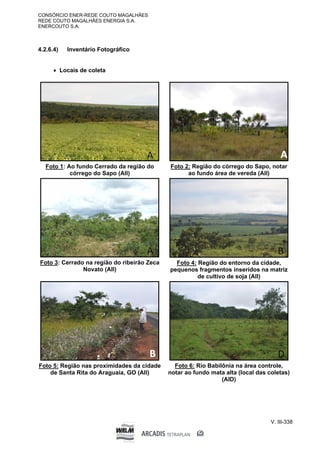 CONSÓRCIO ENER-REDE COUTO MAGALHÃES
REDE COUTO MAGALHÃES ENERGIA S.A.
ENERCOUTO S.A.
V. III-338
4.2.6.4) Inventário Fotográfico
 Locais de coleta
Foto 1: Ao fundo Cerrado da região do
córrego do Sapo (AII)
Foto 2: Região do córrego do Sapo, notar
ao fundo área de vereda (AII)
Foto 3: Cerrado na região do ribeirão Zeca
Novato (AII)
Foto 4: Região do entorno da cidade,
pequenos fragmentos inseridos na matriz
de cultivo de soja (AII)
Foto 5: Região nas proximidades da cidade
de Santa Rita do Araguaia, GO (AII)
Foto 6: Rio Babilônia na área controle,
notar ao fundo mata alta (local das coletas)
(AID)
 