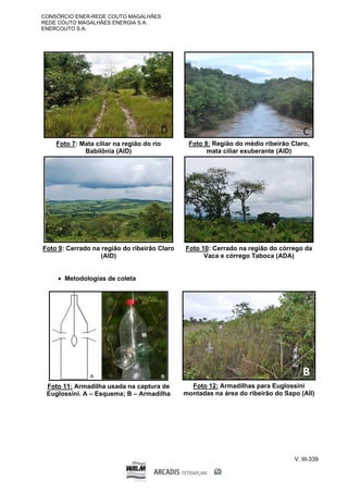 CONSÓRCIO ENER-REDE COUTO MAGALHÃES
REDE COUTO MAGALHÃES ENERGIA S.A.
ENERCOUTO S.A.
V. III-339
Foto 7: Mata ciliar na região do rio
Babilônia (AID)
Foto 8: Região do médio ribeirão Claro,
mata ciliar exuberante (AID)
Foto 9: Cerrado na região do ribeirão Claro
(AID)
Foto 10: Cerrado na região do córrego da
Vaca e córrego Taboca (ADA)
 Metodologias de coleta
Foto 11: Armadilha usada na captura de
Euglossini. A – Esquema; B – Armadilha
Foto 12: Armadilhas para Euglossini
montadas na área do ribeirão do Sapo (AII)
 