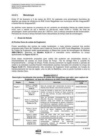 CONSÓRCIO ENER-REDE COUTO MAGALHÃES
REDE COUTO MAGALHÃES ENERGIA S.A.
ENERCOUTO S.A.
V. III-319
4.2.6.1) Metodologia
Entre 27 de fevereiro e 5 de março de 2010, foi realizada uma amostragem faunística de
abelhas nas áreas de influência do AHE Couto Magalhães nos municípios de Alto Araguaia/MT
e Santa Rita do Araguaia/GO.
As abelhas voam apenas na presença de sol, portanto as atividades diárias de coleta tiveram
início com o nascer do sol e término no pôr-do-sol, entre 6:30h e 19:00h. Ao final da
amostragem, foram percorridos cerca de 1.500 km, com o esforço amostral de 84 horas/coletor.
Períodos de chuvas e tempo fechado foram descartados do tempo total de amostragem.
 Áreas de Estudo
A) Pontos fixos de coleta de Euglossini
Foram escolhidos dez pontos de coleta localizados, o mais próximo possível dos pontos
propostos pelo Plano de Trabalho para Coleta de Fauna do AHE Couto Magalhães. Os pontos
de Coleta de Euglossini estão espacializados no Mapa dos Locais de Amostragem de Abelhas
(MB-CTM-31), descritos no Quadro 4.2.6.1-1 e marcados como referência no croqui
apresentado na Figura 4.2.6.1-1.
Duas áreas inicialmente propostas para coleta não puderam ser amostradas devido à
impossibilidade de acesso ao local (Casa de Força - foz do córrego Rico e Jusante do
Empreendimento – córrego do Onça). Fortes chuvas ocorreram na região durante o período de
coleta e as estradas e pontes ficaram intransitáveis (pontos marcados em amarelo no croqui da
Figura 4.2.6.1-1). Adicionalmente, três amostras de Euglossini foram perdidas em função do
transbordamento de rios da região: uma no alto rio Babilônia, uma no ponto Controle e uma no
médio ribeirão Claro.
Quadro 4.2.6.1-1
Descrição e localização dos pontos de coleta das armadilhas com odor, para captura de
Euglossini, na área de influência do AHE Couto Magalhães
Região Pontos Descrição
Coordenadas em
UTM
Região 1
Ponto 1 – ribeirão
Zeca Novato (AII)
(Foto 3)
Área de cerrado bem conservada da bacia do
ribeirão Zeca Novato; solo arenoso quartzoso.
266061/8055093
Ponto 2 - córrego do
Sapo (AII)
(Foto 1)
Local de Cerrado a cerca de 3 km de área de
vereda, na bacia do córrego do Sapo; presença
de um solo arenoso, de grau intermediário de
conservação.
251282/8055975
Região 2
Ponto 3 - córrego do
Sapo (Vereda) (AII)
(Fotos 2 e 12)
Área de formação monoespecífica de Buriti
(Mauritia flexuosa, Arecaceae). Embora área
pequena, exibe bom estado de conservação;
presença de Orchidaceae do gênero Catasetum
nas Palmeiras; vegetação rasteira com presença
de Cyperaceae e Poaceae em abundância.
251561/8055513
Região 5
Ponto 4 - foz do
ribeirão Claro
(ADA)
Área de mata ciliar com estrato superior atingindo
10 m de altura; fragmento de pequenas
proporções, em estado intermediário de
conservação.
266116 /8090065
Ponto 5 - médio
Ribeirão Claro
(Foto 8) (AID)
Área de mata ciliar em bom estado de
conservação; presença de uma área de cerrado
muito próxima do ponto de coleta.
258634/8092647
Região 3
Ponto 6 - médio
ribeirão Claro
(Foto 9) (AID)
Área de mata ciliar em bom estado de
conservação; fragmento de pequenas
proporções rodeado de plantação de soja
(Glycine max, Fabaceae).
259532 /8092665
 
