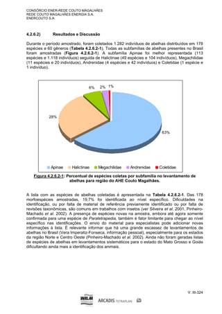 CONSÓRCIO ENER-REDE COUTO MAGALHÃES
REDE COUTO MAGALHÃES ENERGIA S.A.
ENERCOUTO S.A.
V. III-324
4.2.6.2) Resultados e Discussão
Durante o período amostrado, foram coletados 1.282 indivíduos de abelhas distribuídos em 178
espécies e 60 gêneros (Tabela 4.2.6.2-1). Todas as subfamílias de abelhas presentes no Brasil
foram amostradas (Figura 4.2.6.2-1). A subfamília Apinae foi melhor representada (113
espécies e 1.118 indivíduos) seguida de Halictinae (49 espécies e 104 indivíduos), Megachilidae
(11 espécies e 20 indivíduos), Andrenidae (4 espécies e 42 indivíduos) e Coletidae (1 espécie e
1 indivíduo).
28%
63%
2%
6% 1%
Apinae Halictinae Megachilidae Andrenidae Coletidae
Figura 4.2.6.2-1: Percentual de espécies coletas por subfamília no levantamento de
abelhas para região do AHE Couto Magalhães.
A lista com as espécies de abelhas coletadas é apresentada na Tabela 4.2.6.2-1. Das 178
morfoespécies amostradas, 19,7% foi identificada ao nível específico. Dificuldades na
identificação, ou por falta de material de referência previamente identificado ou por falta de
revisões taxonômicas, são comuns em trabalhos com insetos (ver Silveira et al. 2001, Pinheiro-
Machado et al. 2002). A presença de espécies novas na amostra, embora até agora somente
confirmada para uma espécie de Paratetrapedia, também é fator limitante para chegar ao nível
específico nas identificações. O envio do material para especialistas pode adicionar novas
informações à lista. É relevante informar que há uma grande escassez de levantamentos de
abelhas no Brasil (Vera Imperatiz-Fonseca, informação pessoal), especialmente para os estados
da região Norte e Centro Oeste (Pinheiro-Machado et al. 2002). Ainda não foram geradas listas
de espécies de abelhas em levantamentos sistemáticos para o estado do Mato Grosso e Goiás
dificultando ainda mais a identificação dos animais.
 