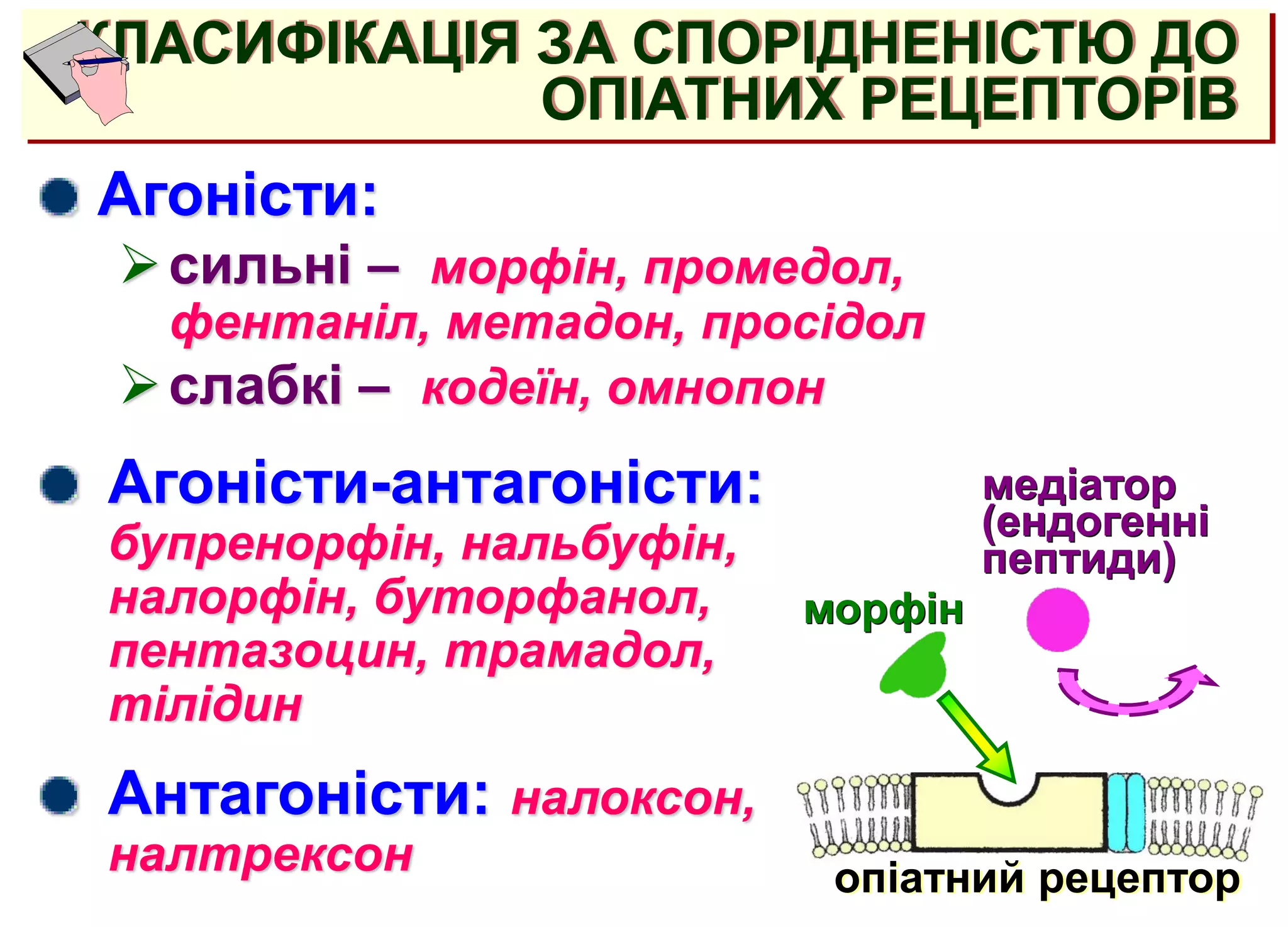 КЛАСИФІКАЦІЯ ЗА СПОРІДНЕНІСТЮ ДО
ОПІАТНИХ РЕЦЕПТОРІВ
Агоністи-антагоністи:
бупренорфін, нальбуфін,
налорфін, буторфанол,
пентазоцин, трамадол,
тілідин
Антагоністи: налоксон,
налтрексон
медіатор
(ендогенні
пептиди)
морфін
Агоністи:
сильні – морфін, промедол,
фентаніл, метадон, просідол
слабкі – кодеїн, омнопон
опіатний рецептор
 