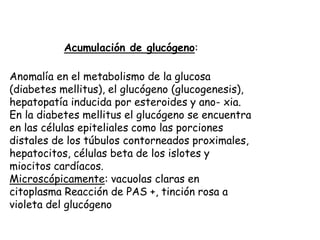 Acumulación de glucógeno:
Anomalía en el metabolismo de la glucosa
(diabetes mellitus), el glucógeno (glucogenesis),
hepatopatía inducida por esteroides y ano- xia.
En la diabetes mellitus el glucógeno se encuentra
en las células epiteliales como las porciones
distales de los túbulos contorneados proximales,
hepatocitos, células beta de los islotes y
miocitos cardíacos.
Microscópicamente: vacuolas claras en
citoplasma Reacción de PAS +, tinción rosa a
violeta del glucógeno
 