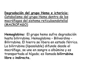 Degradación del grupo Hemo e ictericia:
Catabolismo del grupo Hemo dentro de los
macrófagos del sistema reticuloendotelial
(MACROFAGO)
Hemoglobina: El grupo hemo sufre degradación
hasta bilirrubina. Hemoglobina – Biliverdina -
Bilirrubina. El hierro se libera en estado férrico.
La bilirrubina (liposoluble) difunde desde el
macrófago, se une en sangre a albúmina y es
transportada al hígado; es llamada bilirrubina
libre o indirecta.
 