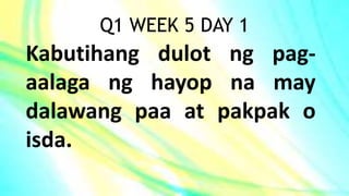 Q1 WEEK 5 DAY 1
Kabutihang dulot ng pag-
aalaga ng hayop na may
dalawang paa at pakpak o
isda.
 