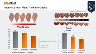 Improve Breast Meat Yield and Quality
10
a
a
b
0.5
0.6
0.7
0.8
0.9
1
1.1
1.2
1.3
1.4
1.5
Control Treatment 1 Treatment 2
Control Treatment 1 Treatment 2
a
ab
b
0.5
0.6
0.7
0.8
0.9
1
1.1
1.2
1.3
1.4
1.5
Control Treatment 1 Treatment 2
Control Treatment 1 Treatment 2
Woody
Breast
White Striping
Significant reduction
in
WS and WB
occurence
Maynard et al., 2022 (under review)
 