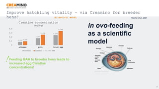 18
in ovo-feeding
as a scientific
model
0.076
0.167
0.243
0.092
0.254
0.346
0
0.1
0.2
0.3
0.4
albumen yolk total egg
Creatine concentration
(mg/kg)
Control Control + 0.15% GAA
Feeding GAA to breeder hens leads to
increased egg Creatine
concentrations!
Reicher et al., 2021
Improve hatchling vitality – via Creamino for breeder
hens! SCIENTIFIC MODEL
 