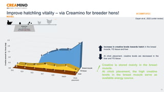 20
increase in creatine levels towards hatch in the breast
muscle, YS tissue and liver
At chick placement, creatine levels are decreased in the
liver and YS tissue
Creatine is stored mainly in the breast
muscle.
At chick placement, the high creatine
levels in the breast muscle serve as
available energy source.
Dayan et al., 2022 (under review)
Improve hatchling vitality – via Creamino for breeder hens! SCIENTIFIC
MODEL
 