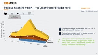 21
There is an increase in glycogen levels up to E17- E19, in
the breast muscle, YS tissue and liver
Towards hatch, glycogen levels are sharply decreased in
the breast muscle, YS tissue and liver
Glycogen is stored mainly in the YS tissue.
The sharp decrease in glycogen levels at
hatch and chick placement implies on
energy limitation in hatchlings
Dayan et al., 2022 (under review)
Improve hatchling vitality – via Creamino for breeder hens! SCIENTIFIC
MODEL
 