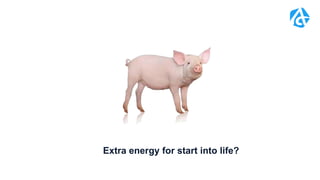 Extra energy for start into life?
 