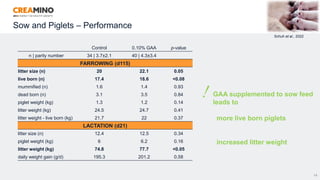 Sow and Piglets – Performance
26
Schuh et al., 2022
Control 0.10% GAA p-value
n | parity number 34 | 3.7±2.1 40 | 4.3±3.4
FARROWING (d115)
litter size (n) 20 22.1 0.05
live born (n) 17.4 18.6 <0.08
mummified (n) 1.6 1.4 0.93
dead born (n) 3.1 3.5 0.84
piglet weight (kg) 1.3 1.2 0.14
litter weight (kg) 24.5 24.7 0.41
litter weight - live born (kg) 21.7 22 0.37
LACTATION (d21)
litter size (n) 12.4 12.5 0.34
piglet weight (kg) 6 6.2 0.16
litter weight (kg) 74.8 77.7 <0.05
daily weight gain (g/d) 195.3 201.2 0.58
GAA supplemented to sow feed
leads to
more live born piglets
increased litter weight
 