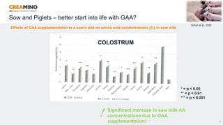 Sow and Piglets – better start into life with GAA?
27
Schuh et al., 2022
COLOSTRUM
* = p < 0.05
** = p < 0.01
*** = p < 0.001
Effects of GAA supplementation to a sow‘s diet on amino acid condentrations (%) in sow milk
Significant increase in sow milk AA
concentrations due to GAA
supplementation!
 